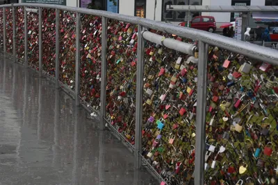 DSC_6160 (Large).JPG